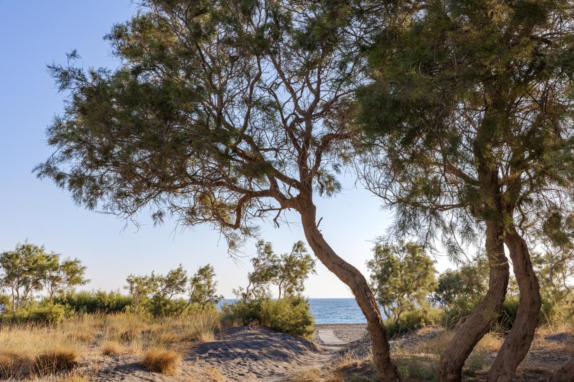 Scorpios Beach Монолитос Экстерьер фото